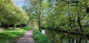 Canal towpath in the summer