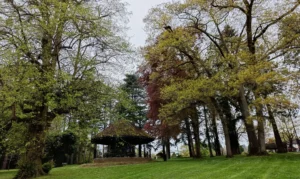 Arboretum at Stratford Park