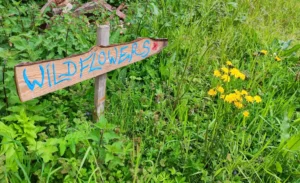 Wildflowers sign in a wildflower patch