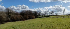 Sloping cut meadow with wood at the bottom