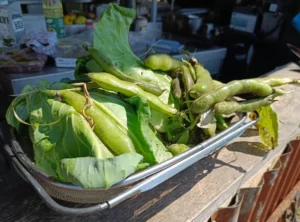 A sieve full of broad beans in shells and cabbage