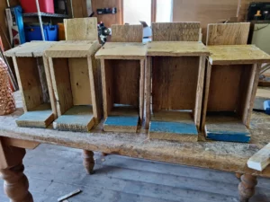 Five wooden bug boxes in a line on a table, each with a blue base