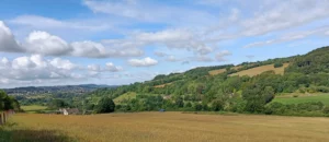 Wildflower meadow in foreground, green valley slopes and blue sky