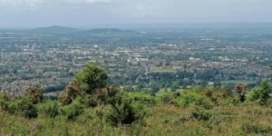 View over a city from the top of a hill. Vegetation in foreground