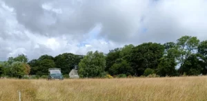 Grassland with the top of a landrover in the distance