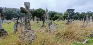 Old gravestones with chapel in background. Long grass and wildflowers in between the graves