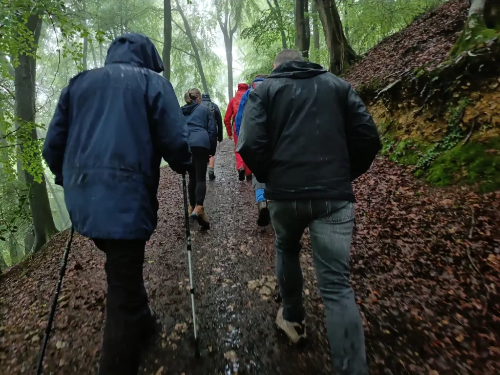 Group of walkers going uphill, shot from behind