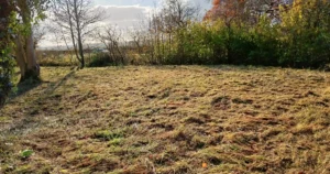 Cut grassland with hedges in background and a road behind