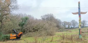A felled ash in a field with a totem pole