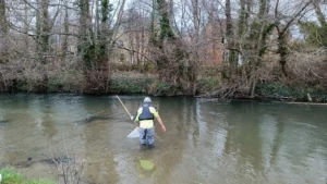 Man standing in the river with a net and back to the camera