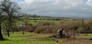 People ramming fence posts in an orchard