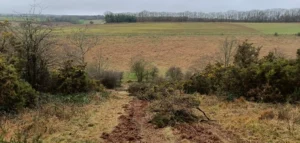 Slope with a pile of cut gorse in the middle and grass on both sides