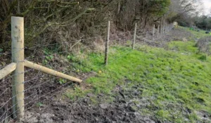 Sheep netting tacked tightly against a line of fence posts