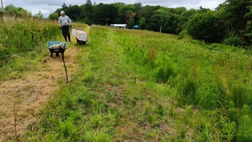 Electric fencing running down the middle of a field and a man in a hat standing to one side