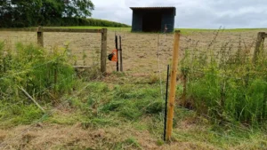 A shelter at the top of a field with electric fencing running up to it