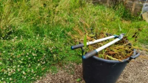 A patch of grass with a bucket of dock next to it with a pair of loppers on top