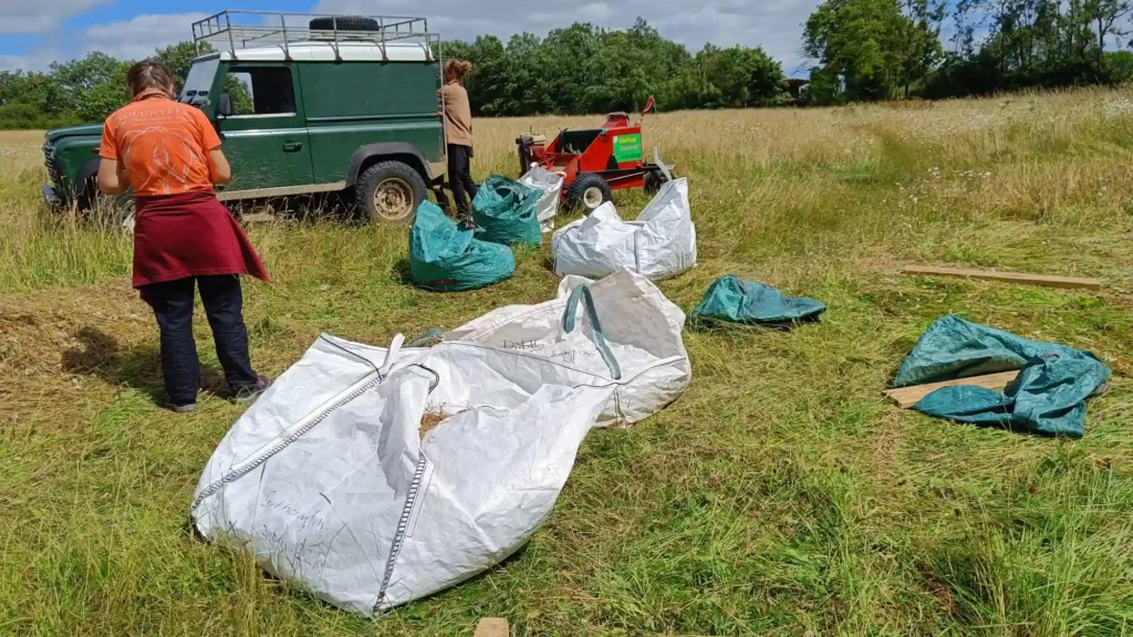 A landrover with lots of bags of seed around it and a man packing them