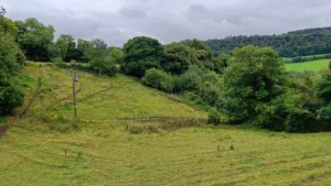 Rolling hills with mature trees in hedgelines
