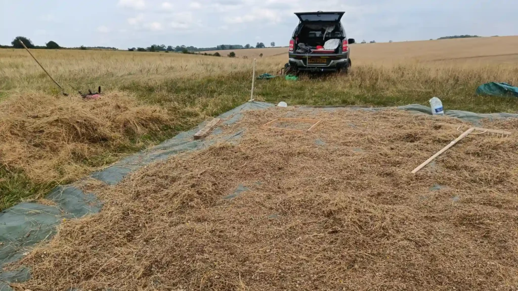 A tarpaulin in a field full of seed. A truck in the background with the boot open.