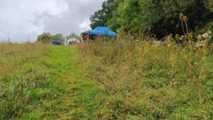 A sloped meadow with long grass and tent awnings just visible on the horizon