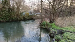 A wide river with bare trees on the river bank