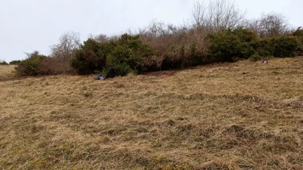 Looking up a steep bank with grassland showing through cut gorse