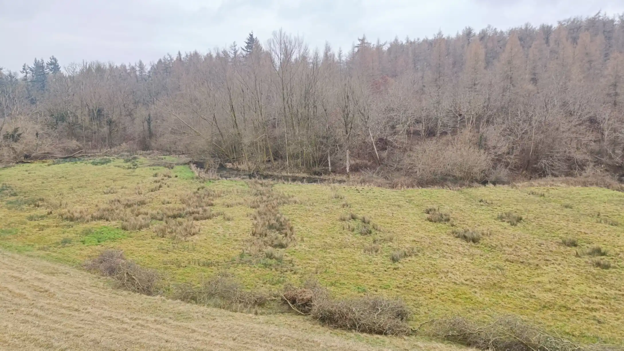 A floodplain valley floor with a river and thick forest on the far bank