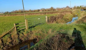 A small drainage ditch next to a road and large field on the left
