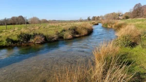 A narrow river winding through a field