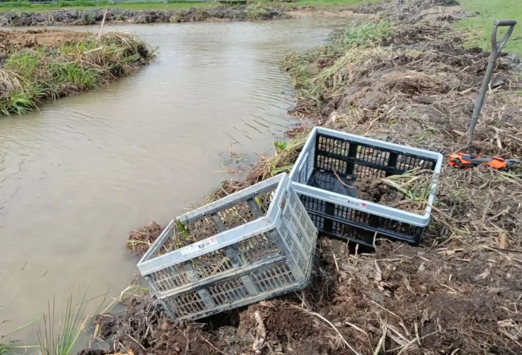 Two creates and a spade on the bank next to a pond