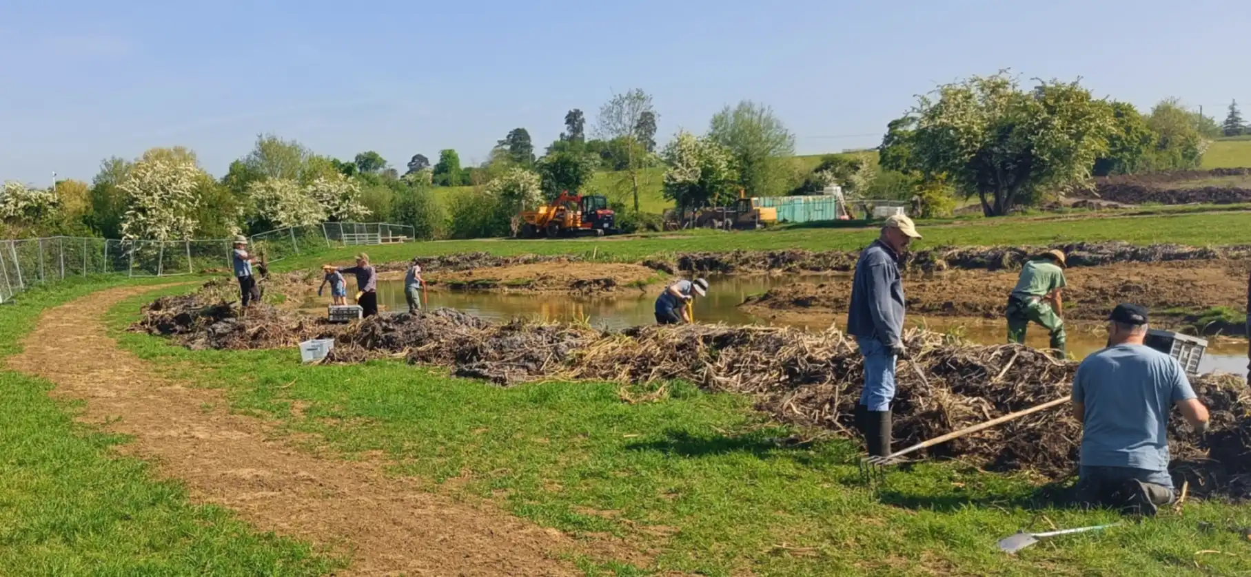 People standing by the bank of a pond digging plants