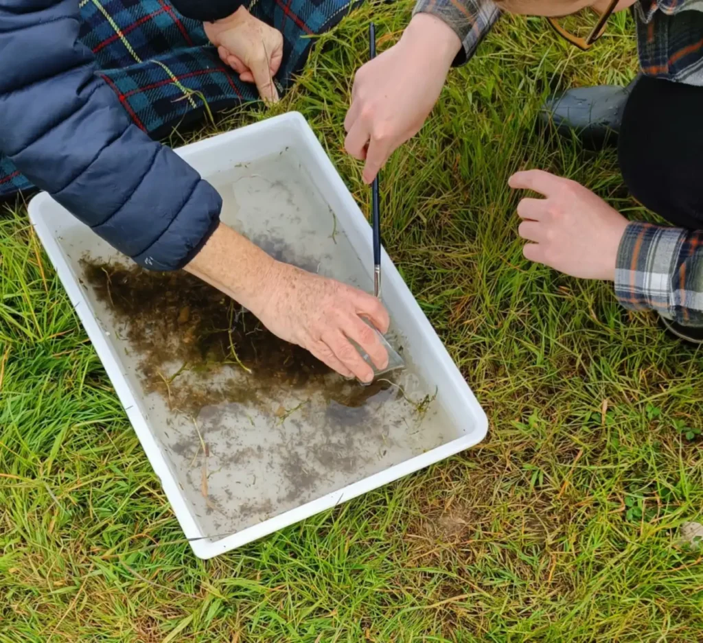 Two people pulling a small fish from a sample tray on a field floor