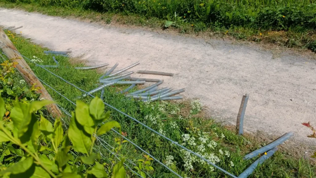 discarded plastic spirals on a canal tow path