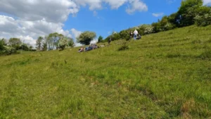A steep sloped grassland with people sat on the grass in the distance doing botanical surveys