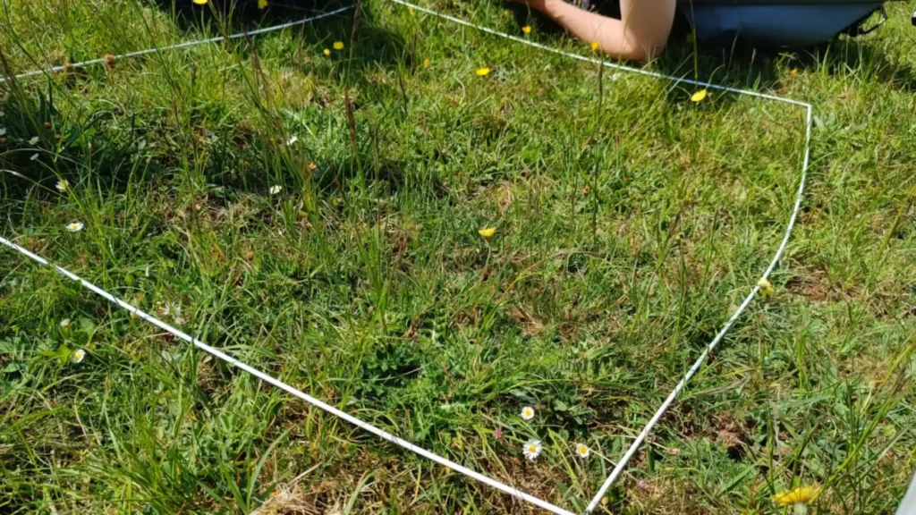 A square piece of wire placed over an area of species rich grassland