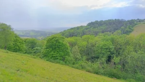 View from the top of a steep grassland across a valley with wooded slopes in the distance