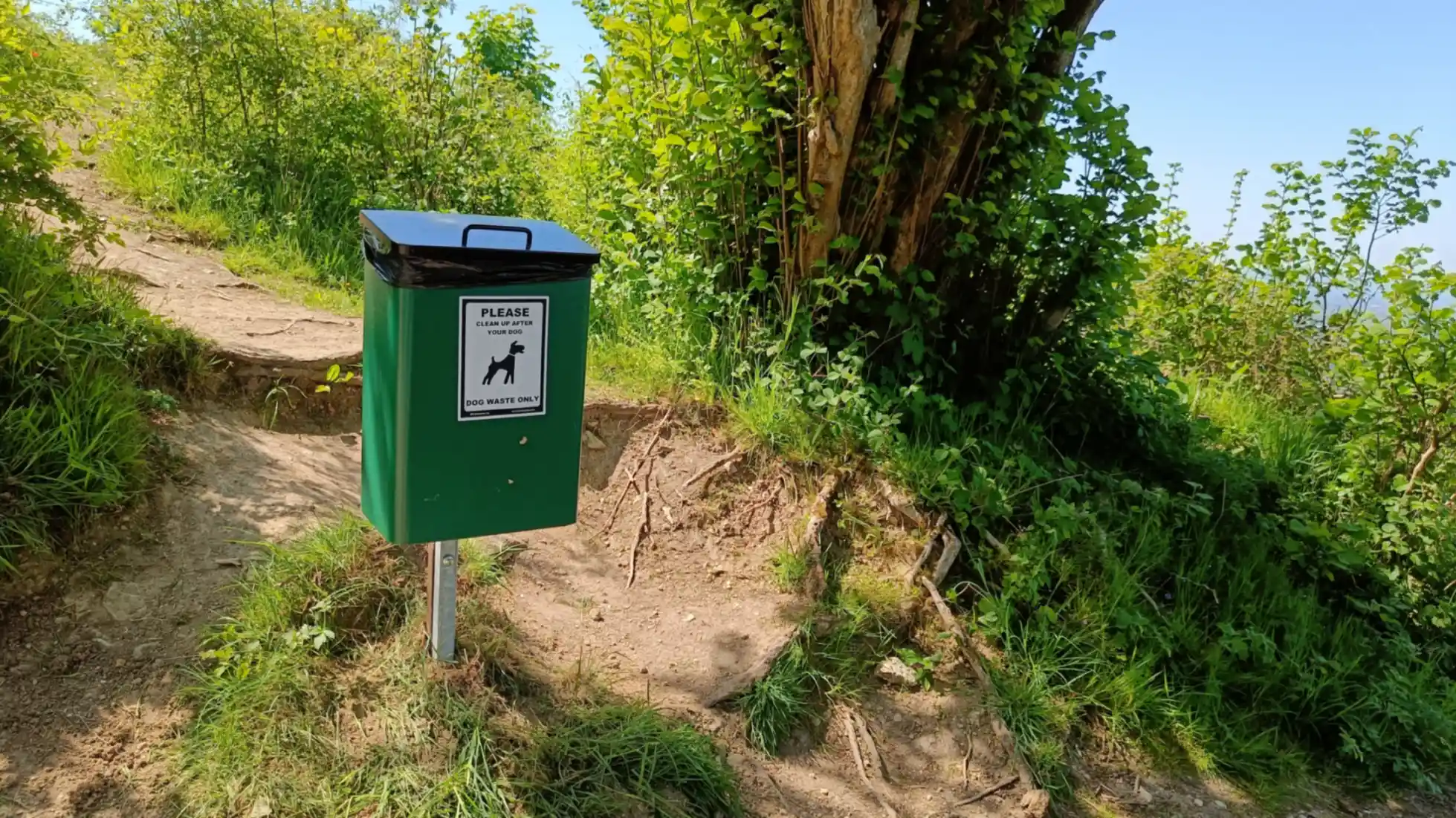 A newly installed dog poo bin next to a path