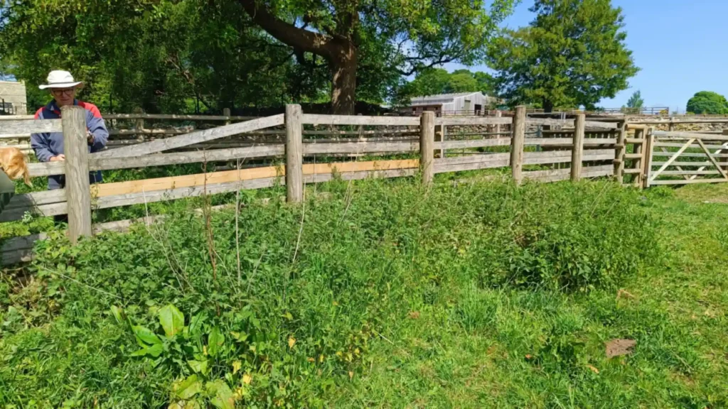 Fencing in a field and two people started to dismantle it