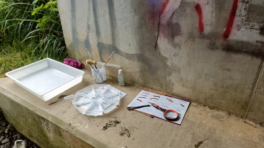 Riverfly monitoring equipment laid out on a concrete bench