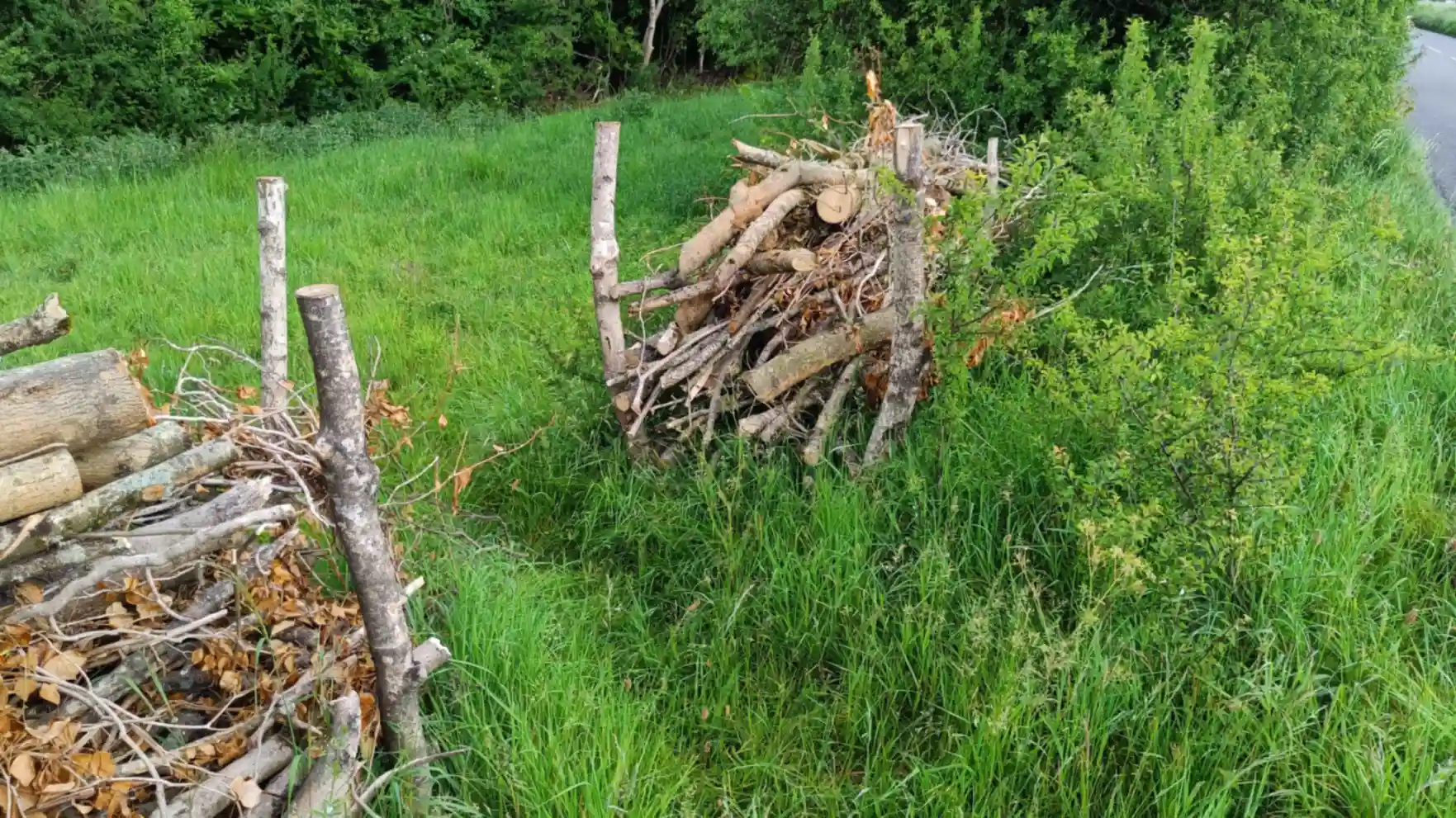 A dead hedge with an opening into a grassland