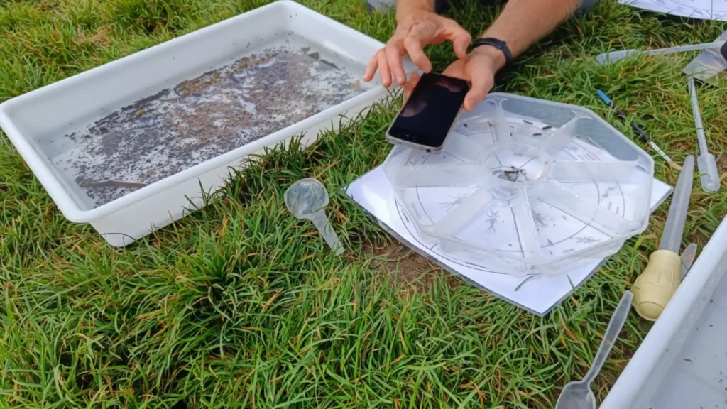 Riverfly sample trays and equipment spread on a field and a hand taking a photo with a phone