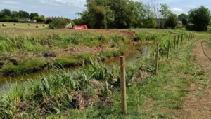 Line of fence posts in the ground next to a pond