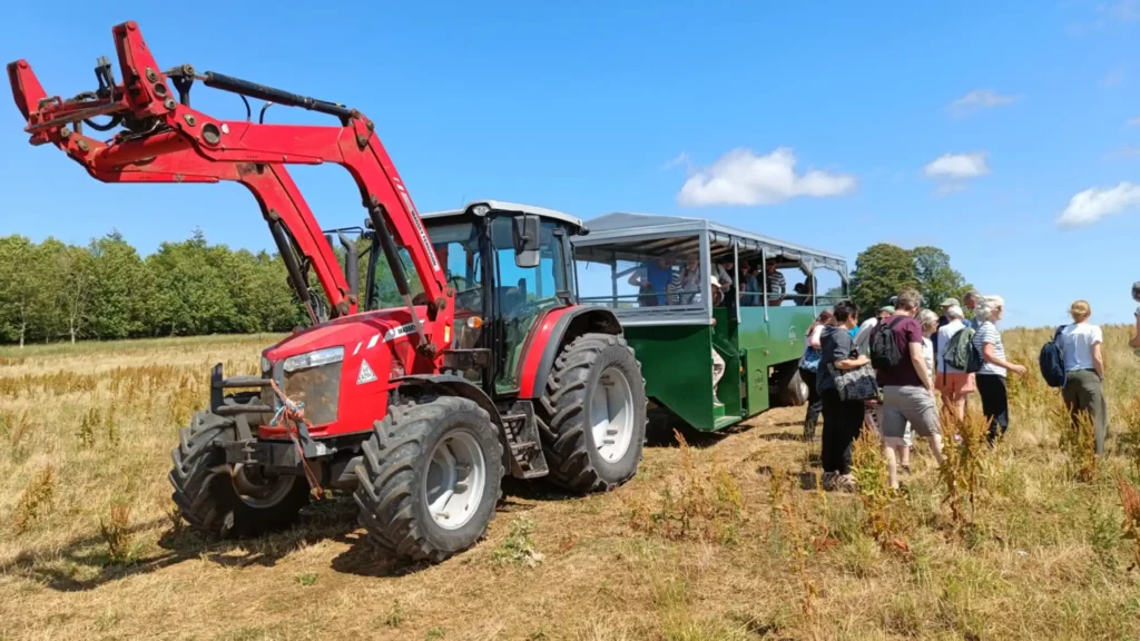 A red tractor pulling a large green carriage that people have just alighted from in a field