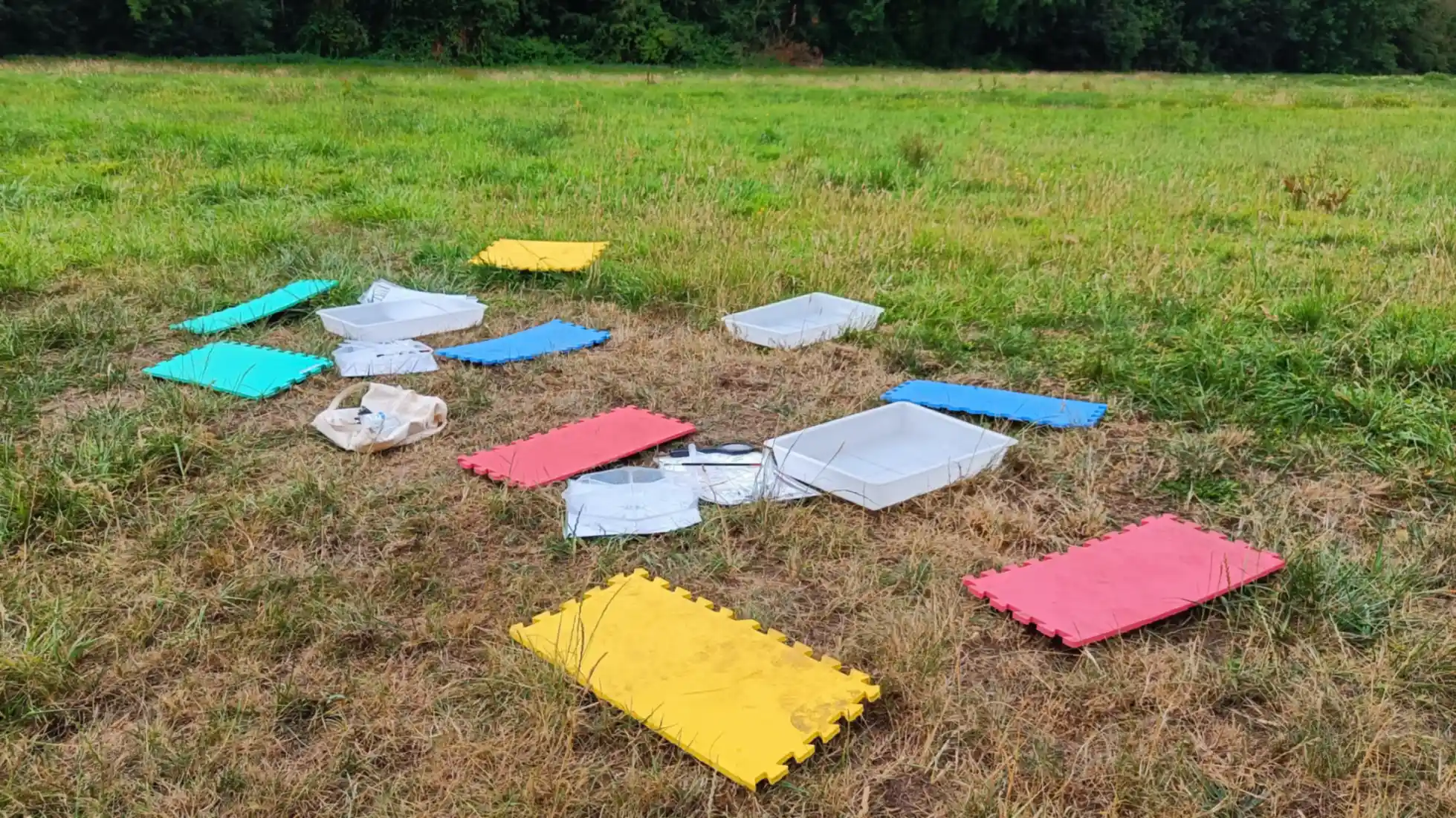 coloured mats and sample trays on the ground in a field
