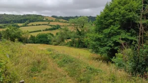 A sloping grassland with trees on the left and fields on the opposite slope on the valley