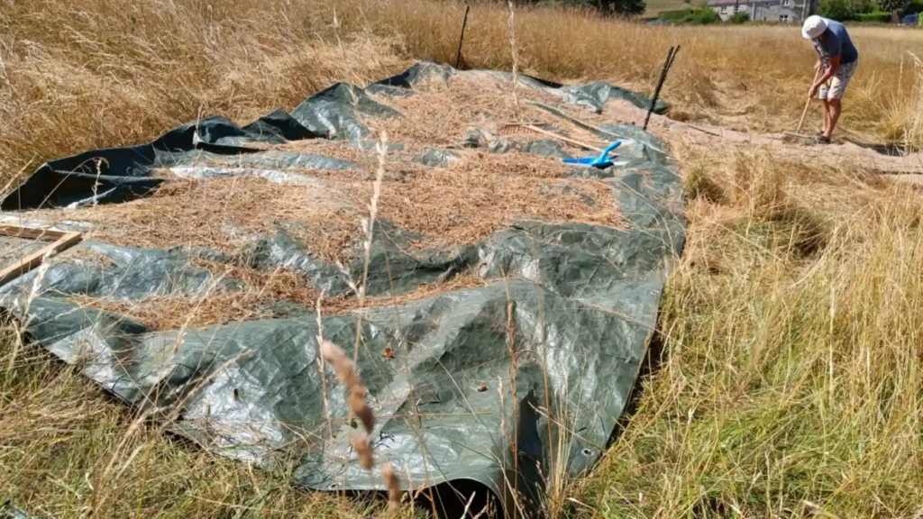 A tarpaulin in a field with seed drying on top. Man brushing seed onto tarpaulin in background