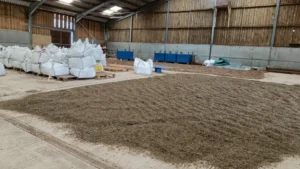 Inside a barn with seed drying on the floor and bags on pallettes in the backgrouns