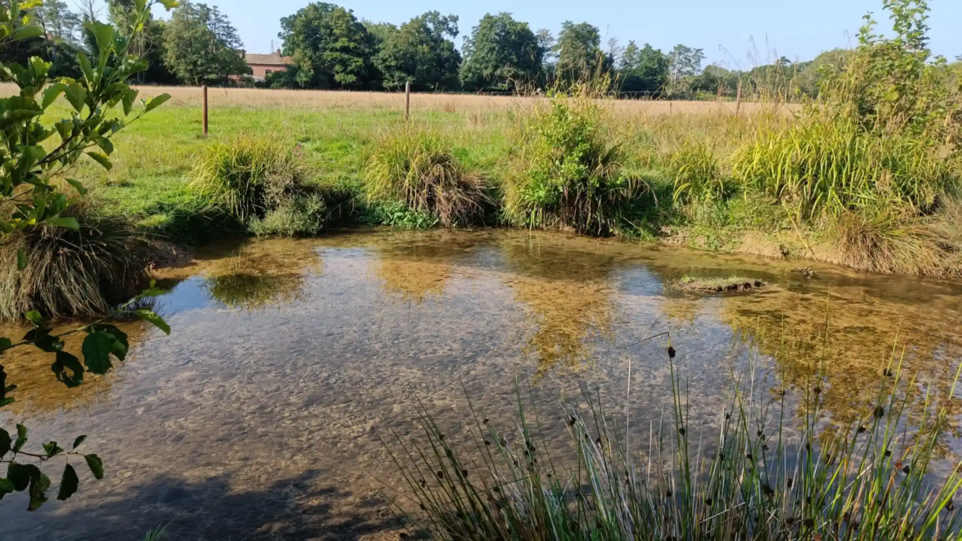 Low river flow on a section of bank