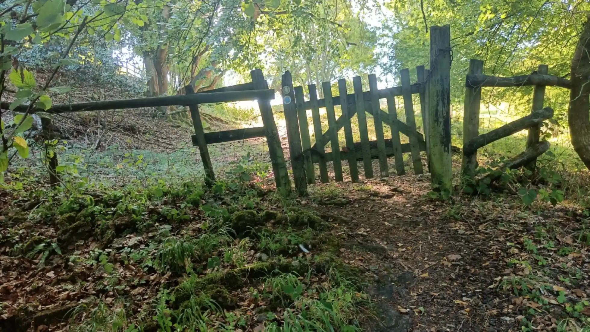 A path in a wood leading up to a small picket gate with a footpath sign to the right. Light shining through trees in the background