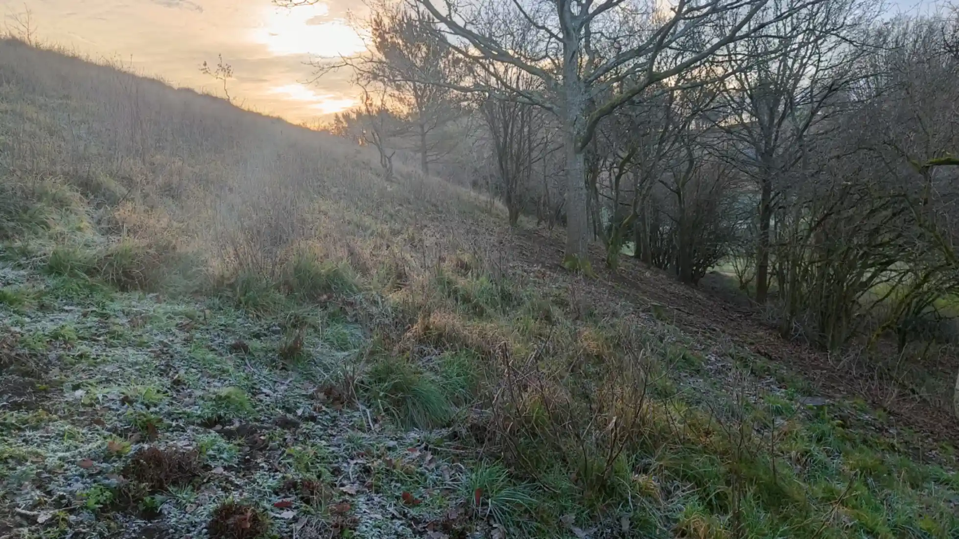 Morning sun shining over a rough steep sloped grassland